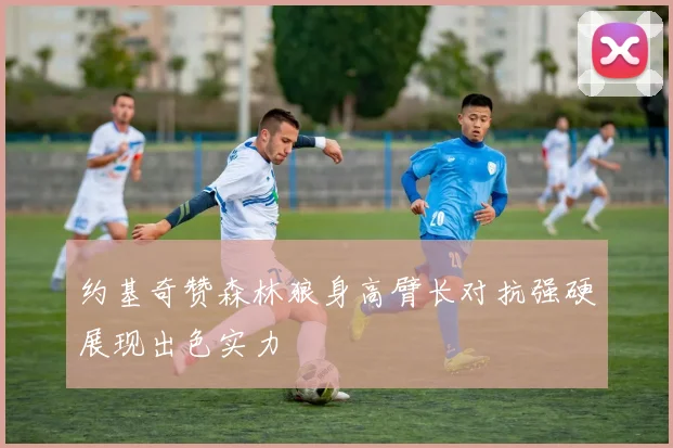 约基奇赞森林狼身高臂长对抗强硬展现出色实力